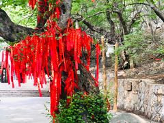 -青檀寺景区
