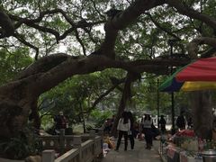 -小洲村