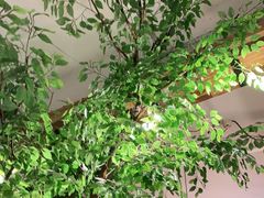 -蜜桃餐厅·伴山(湖滨商业街店)