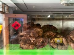 -山菌美食苑(振兴路店)