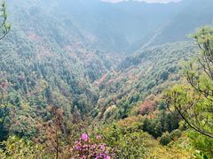 -苍山感通索道