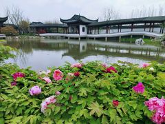 -上海滨江森林公园