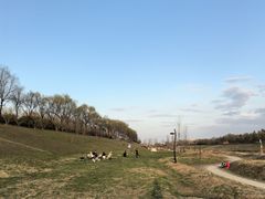 -洨河生态公园