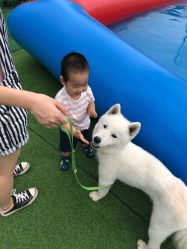 -萌宠亲子动物乐园(槐房万达店)