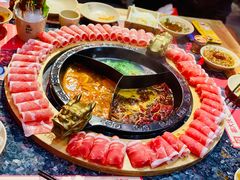 奔驰锅底-蜀大侠火锅(森兰花园城店)