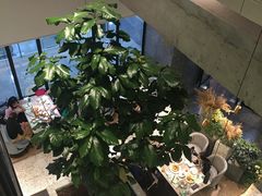 -大树餐厅(红旗街万达店)