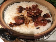 -大榕树下顺德菜(融创茂店)