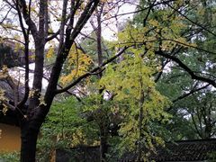 -西园戒幢律寺