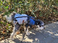 -FAELING PETS美天灵宠物(富力广场店)