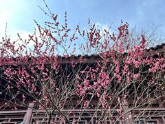-韬光茶庵