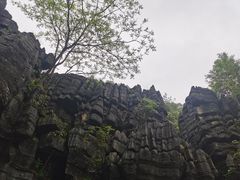 -梭布垭石林景区