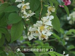-北京石刻艺术博物馆