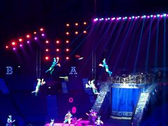 -珠海横琴长隆《卡卡虎奇遇记》