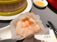 -采蝶轩