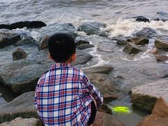 -宝安西湾红树林湿地公园