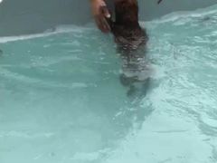 -翊宠yipet猫狗购宠庄园犬舍•猫舍