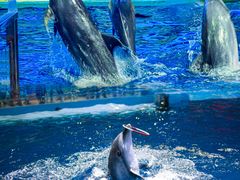 -福州罗源湾海洋世界旅游区