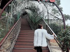 -伴山茶苑·围炉煮茶
