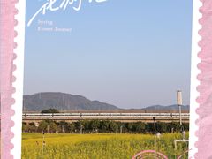 -光明小镇欢乐田园
