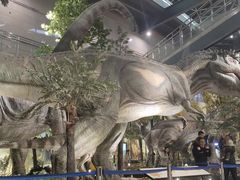 -湖南省地质博物馆