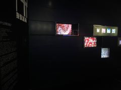 -同济大学四平路校区深海探索馆