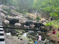 -白水寺森林公园