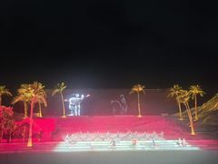 -三亚红色娘子军演艺公园景区