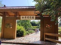 -黑龙江省森林植物园