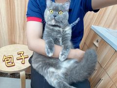 -瑞鹏宠物医院·骨科·猫科·内科(第一中心)