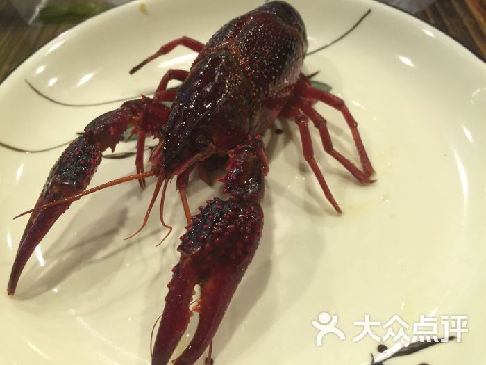 潜江虾王-图片-兰州美食-大众点评网