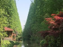 -上海怡沁园度假酒店