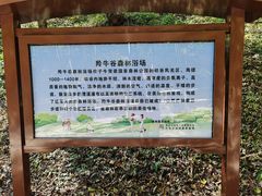 -牛背梁国家森林公园