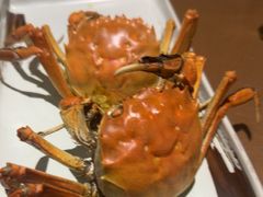 -东口码头·烧鸽子·鱼头泡饼·地方菜(金鹰悦城店)