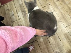 -友谊新天地广场(金街店)
