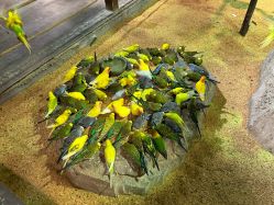 -酷嗒动物文化乐园(cutezoo西溪乐天城店)