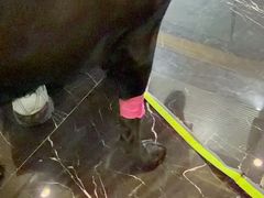 -宠颐生斯嘉宠物医院·急重症·心内科(谷阳北路分院)