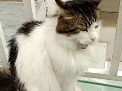 -小时光咖啡馆(北锣鼓巷店)