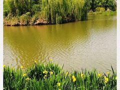 -白鹭湾湿地公园