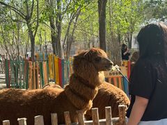 -水上乐园·欢乐世界