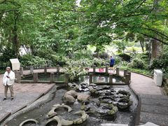 -成都市活水公园
