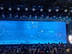 -烟台海昌鲸鲨海洋公园