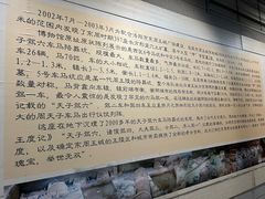 -洛阳周王城天子驾六博物馆