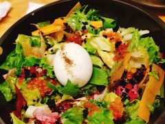 蛋蛋沙拉-Hatsune隐泉日式料理(SKP店)