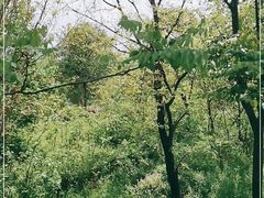 -秦始皇帝陵博物院-丽山园