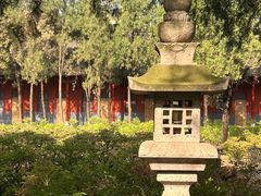 -洛阳白马寺