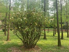 -晓港公园