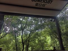 -巴倒烫陆派火锅山庄(南山总店)