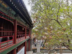 -潭柘寺景区