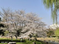 -堤角公园