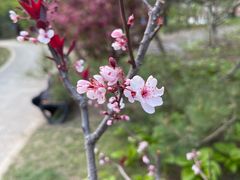 -元大都城垣遗址公园